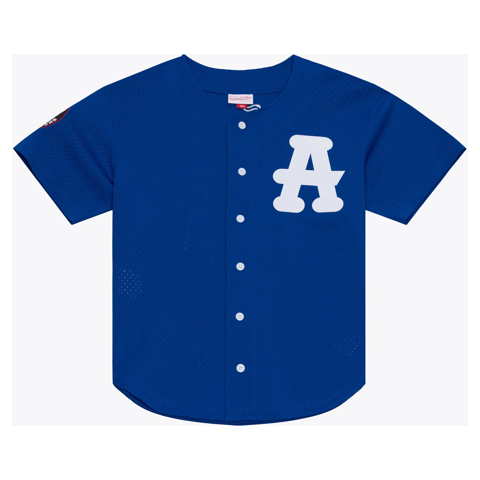 Hunk Wear - Ronald Acuña Jr. Atlanta Black Crackers Mitchell & Ness Batting Practice Jersey - Royal