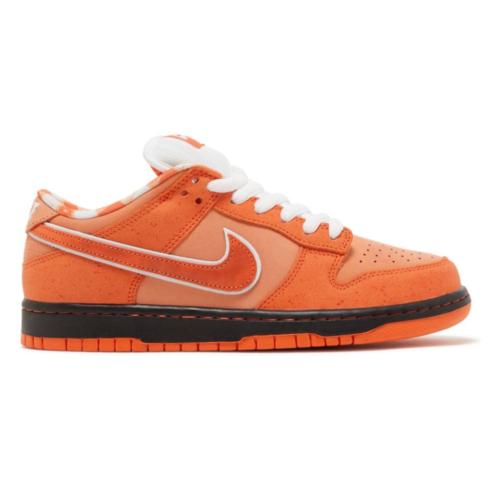 Nike SB Dunk Low Concepts