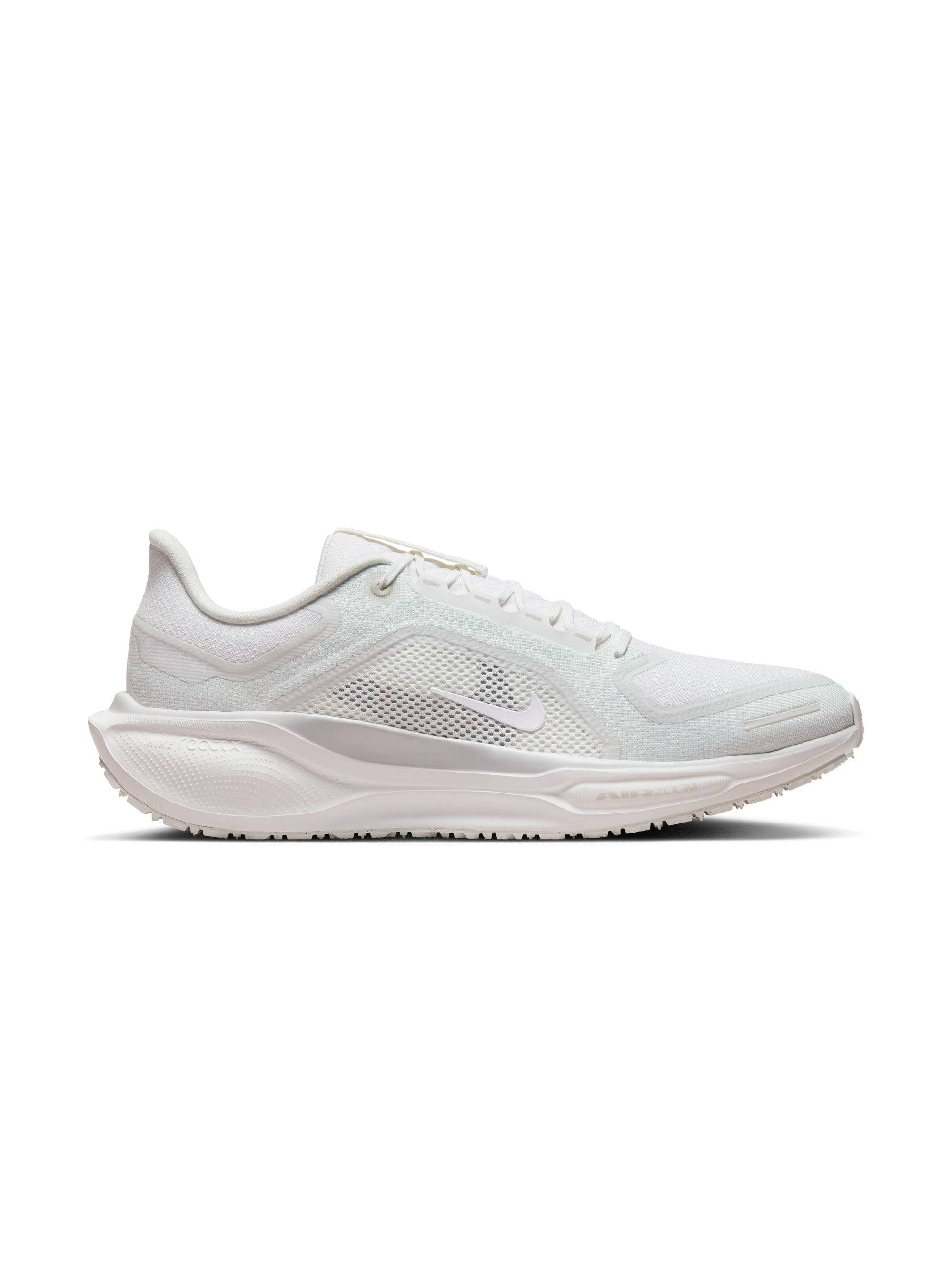 Nike Men's Pegasus 41 GORE-TEX