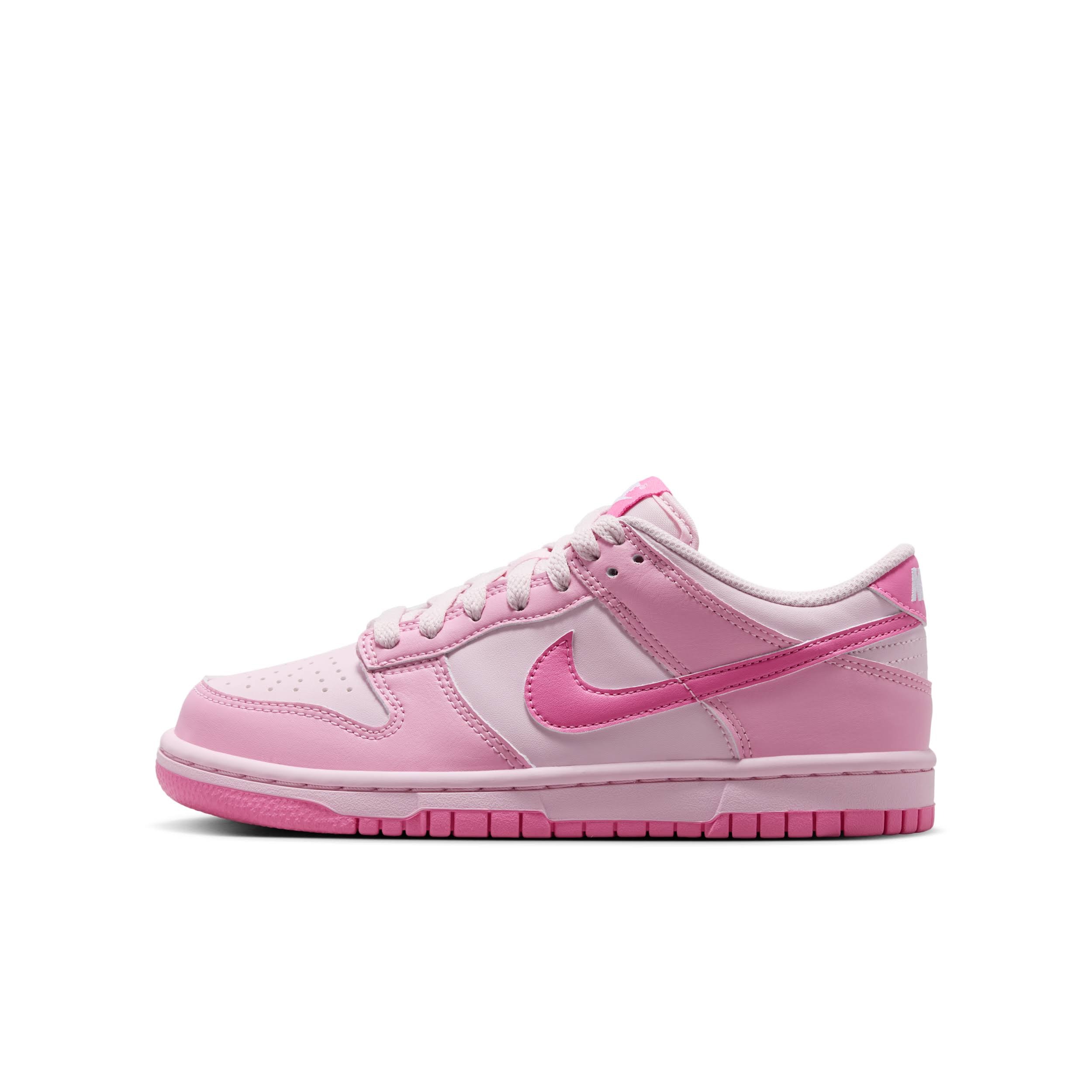Nike Kids' Grade School Dunk Low Shoes