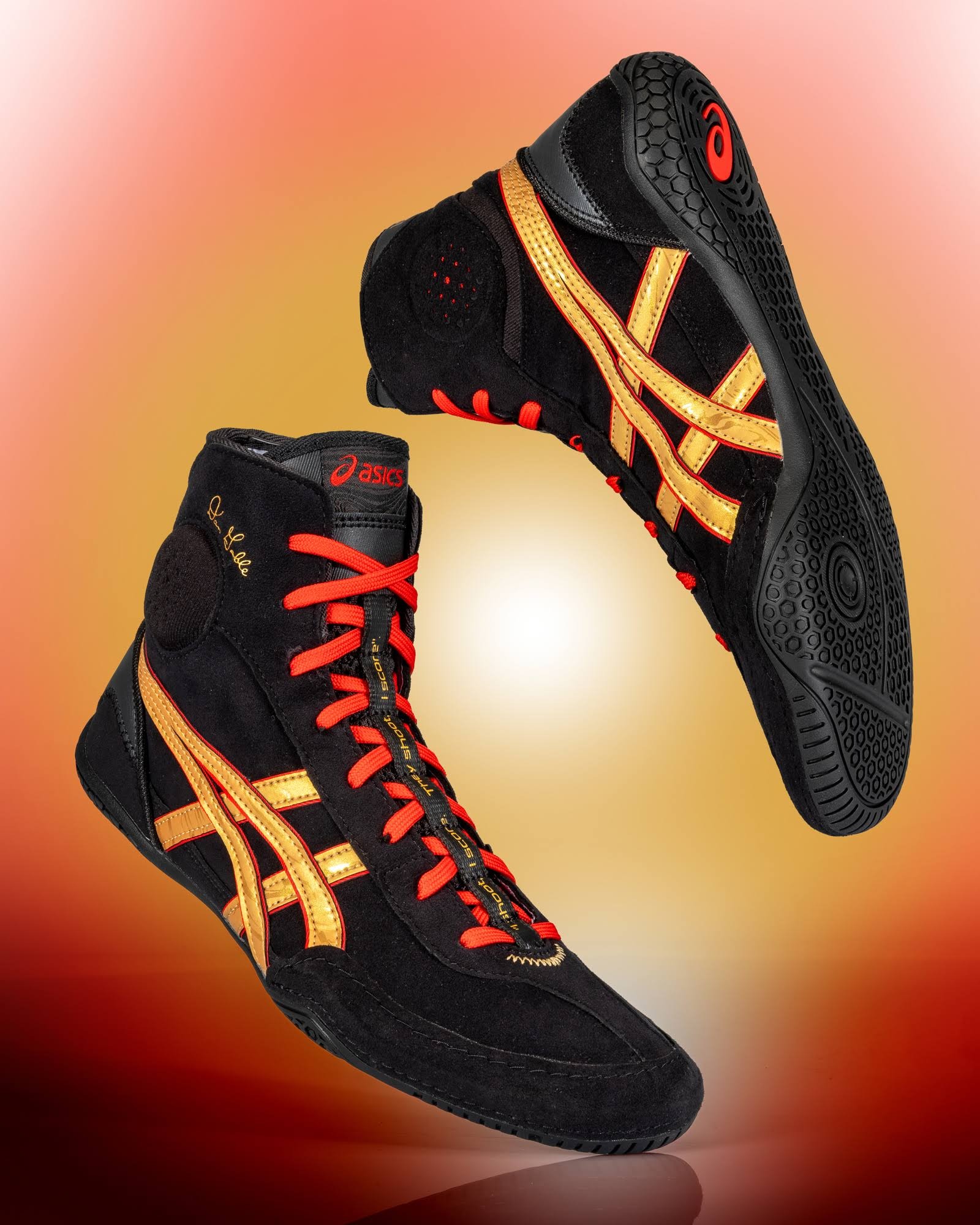 ASICS Men's Dan Gable Evo 3