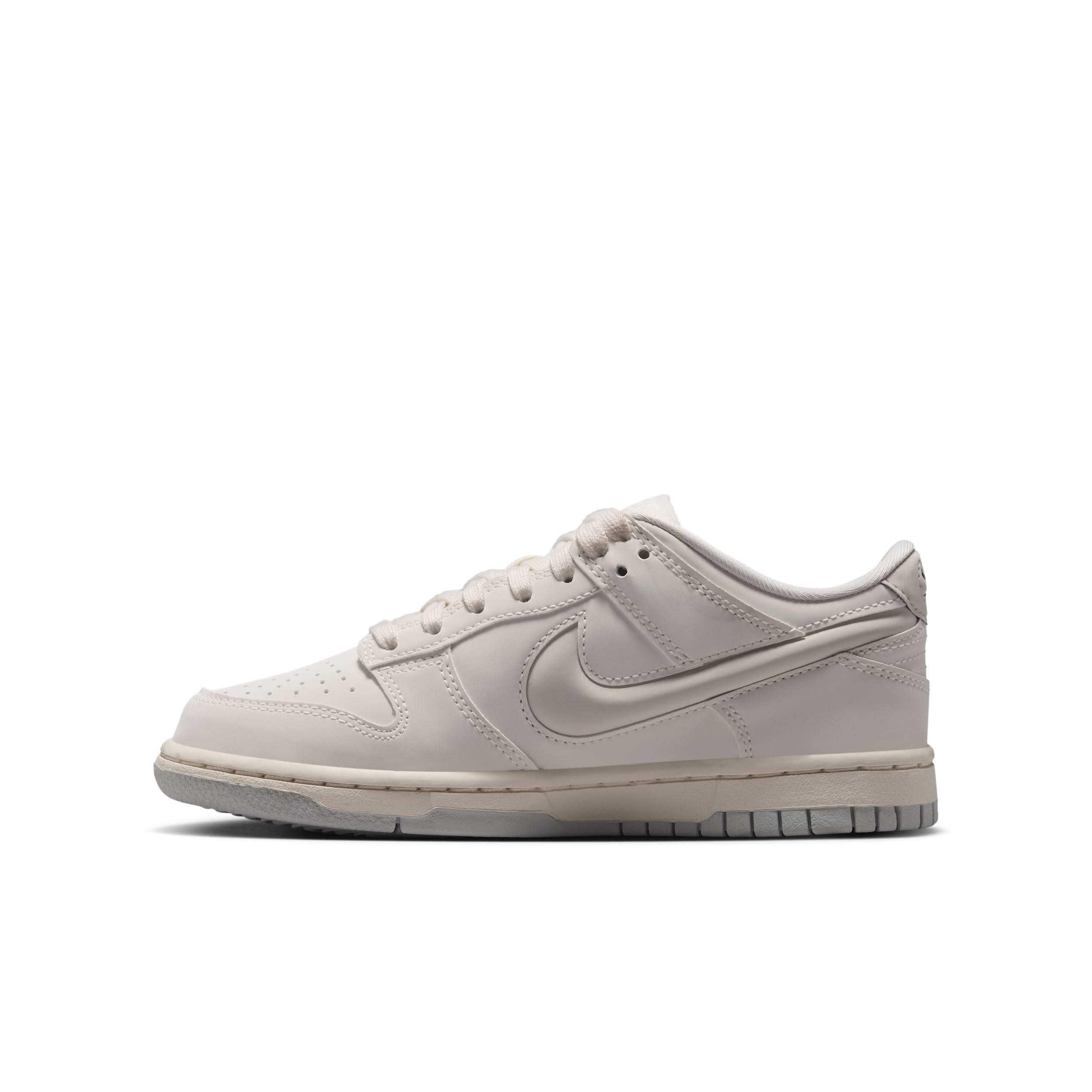 Nike Big Kids' Dunk Low LV8