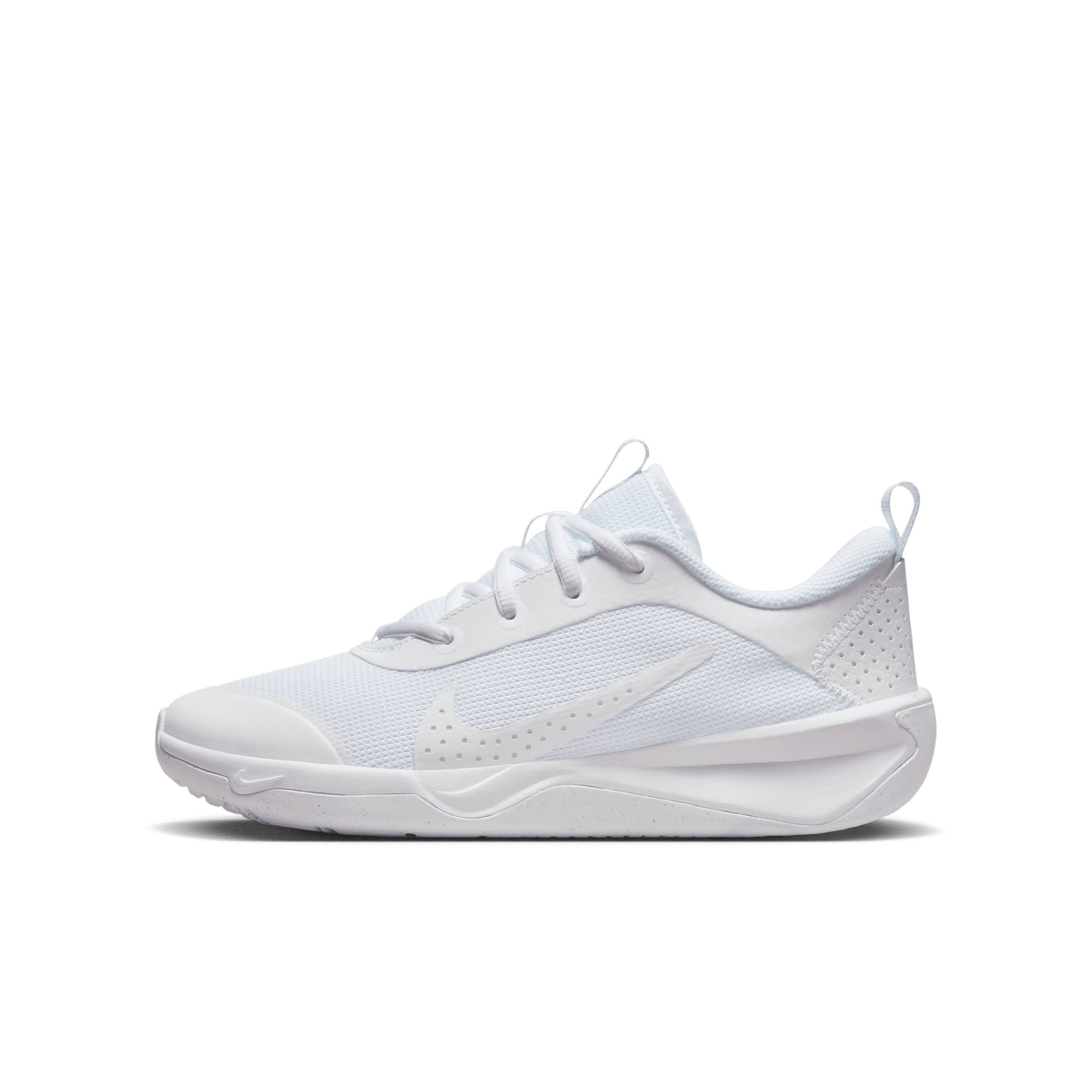 Nike Omni Boys Multi-Court DM9027 Shoes